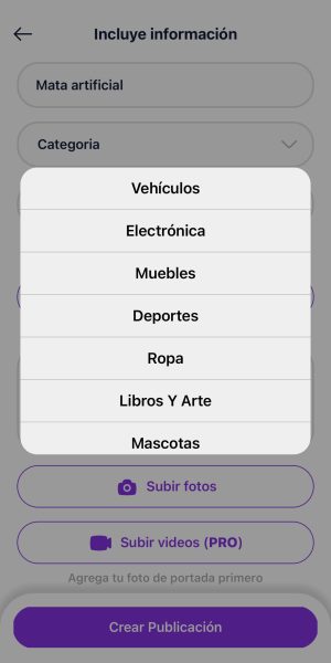 Sucategoría