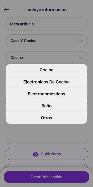 Categoría